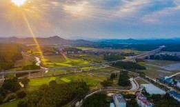 江油最新爆料消息新闻,揭秘重大事件背后真相